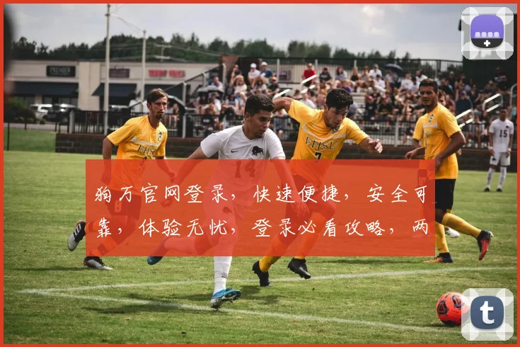 狗万官网登录，快速便捷，安全可靠，体验无忧，登录必看攻略，两大要点必知