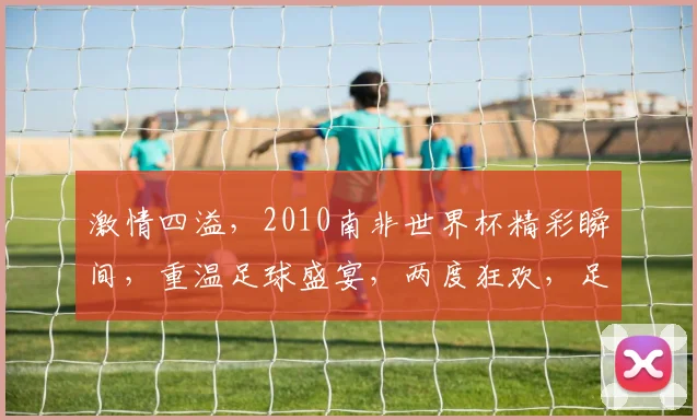 激情四溢，2010南非世界杯精彩瞬间，重温足球盛宴，两度狂欢，足球梦继续