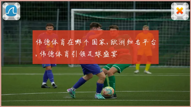 伟德体育在哪个国家,欧洲知名平台,伟德体育引领足球盛宴
